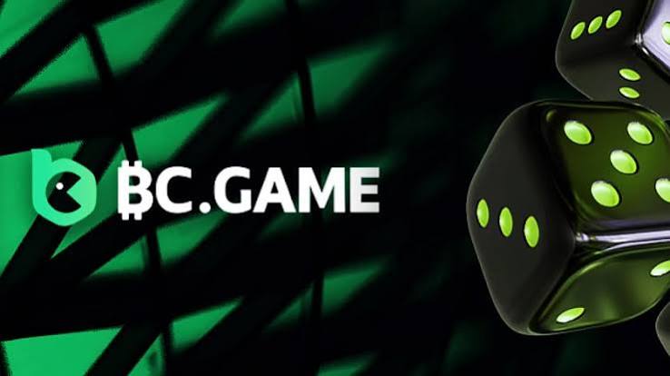 Comprehensive Guide to the BC.Game Login Process